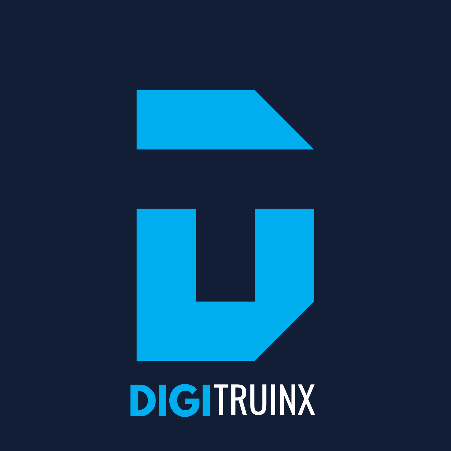 Digitruinx
